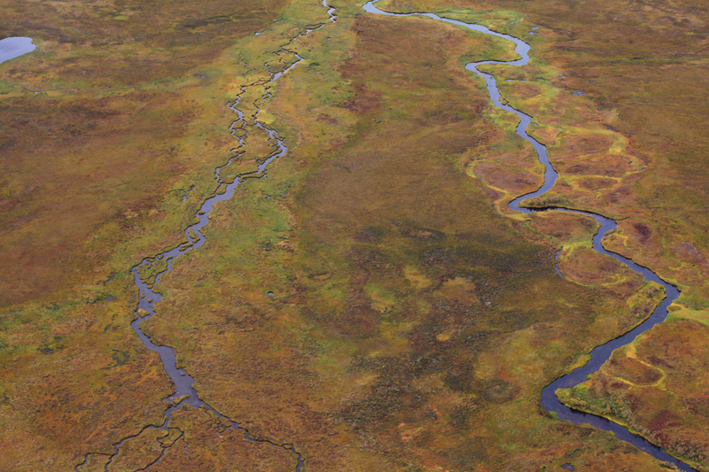 The countless waterways that make Bristol Bay such a productive and resilient salmon habitat. Photo credit: Duncan Sullivan